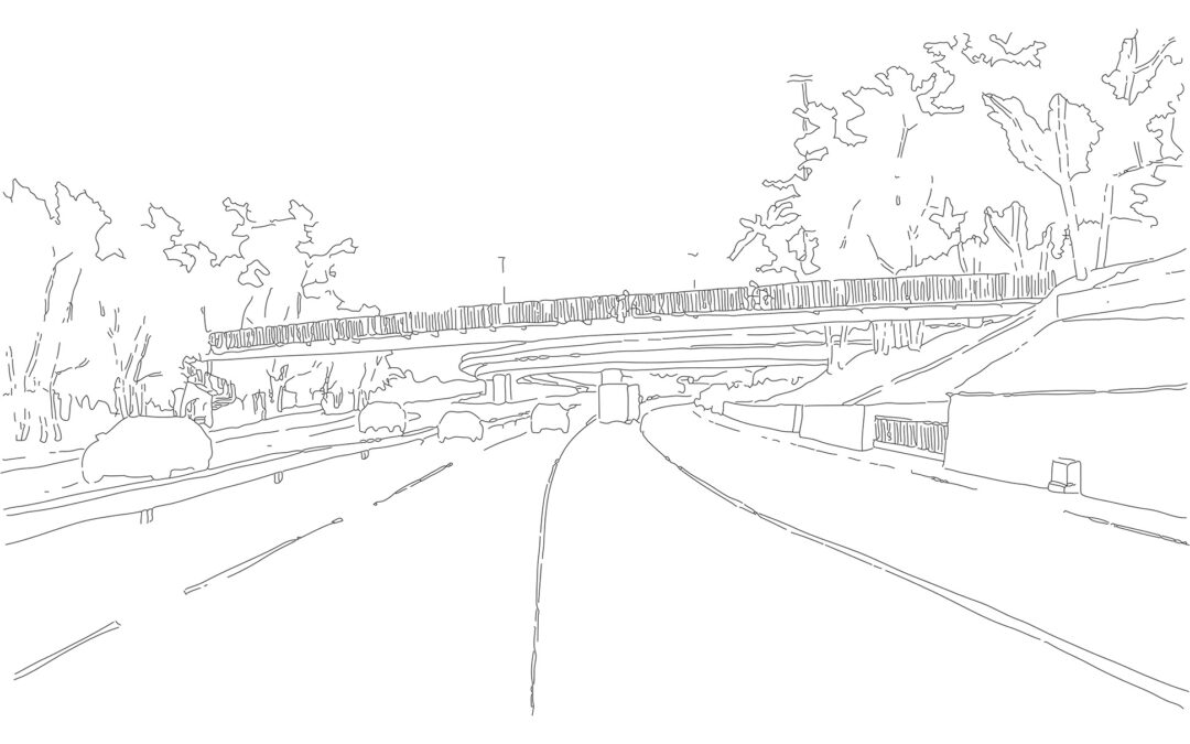 PASSERELLE DES ORCHIDEES  BELLEVUE